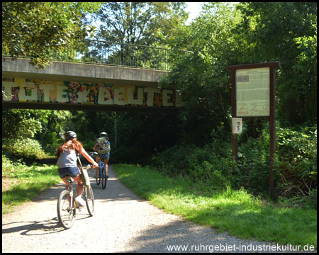 Radweg auf der alten Kohlensammelbahn (Blick zurück)