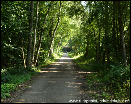 Schnurgerade Eisenbahntrasse (Blick zurück, heute Asphalt)