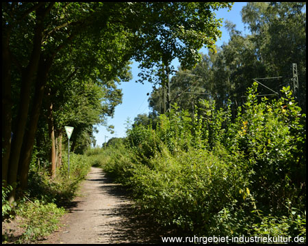 Weg entlang der S-Bahn-Strecke