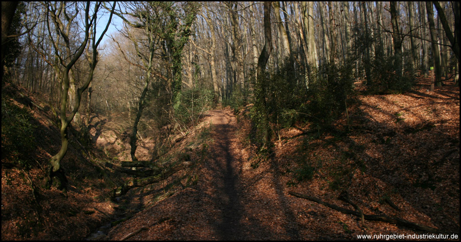 Bergbauwanderweg entlang eines Baches durch das hügelige Waldland