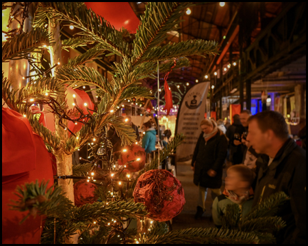 Ein Weihnachtsbaum in einer düsteren Halle