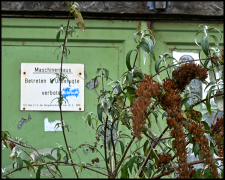 Grüne Tür mit Schild "Maschinenhaus, betreten verboten". Davor verblühter Sommerflieder