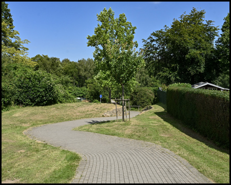 Kurviger Radweg