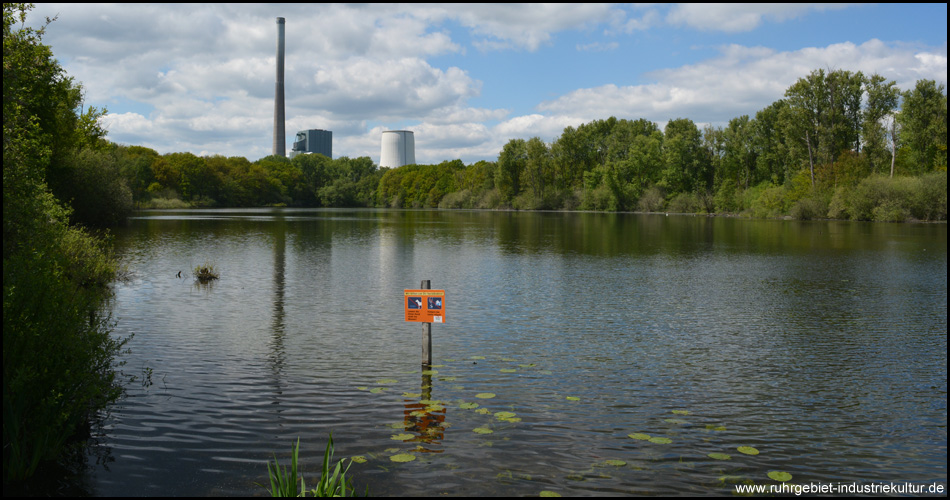 Aussichtsplattform am südlichen Ufer mit Blick zum Kraftwerk Heil