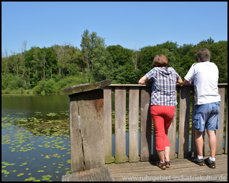 Der erste, hölzerne Aussichtsturm am See