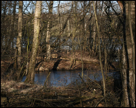 Im Winter deutlich sichtbare runde Krater-Tümpel