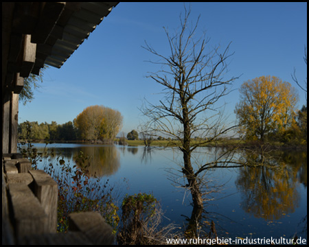 Ausblick von einer der drei Beobachtungshütten auf die Seenplatte der Bislicher Insel