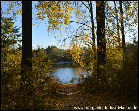 Herbstliche Sicht auf das Wasser