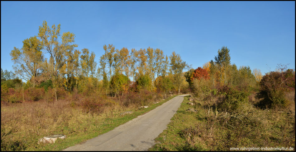 Hauptweg durch die herbstliche Insellandschaft (Blick zurück)