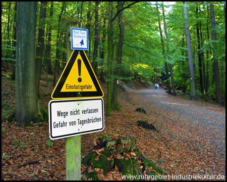 Hauptweg durch das grüne Waldstück Bittermark