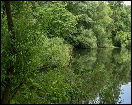 Teich mit Bäumen am Ufer