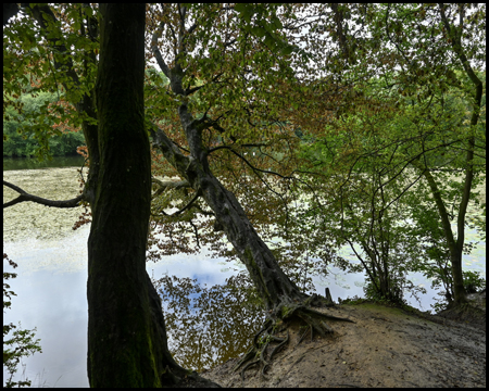 Mergelteich Bönen