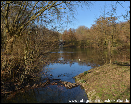 Der Bach durchquert einen Teich zum Hochwasserschutz