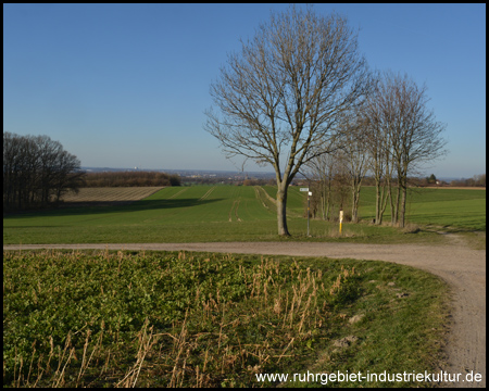 Der Blick zurück reicht in das flache Münsterland