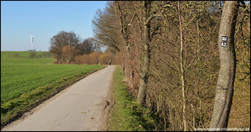 Das Bornekamptal wird von Rad- und Wanderwege erschlossen – hier u.a. der Autofahrer-Rundweg A2