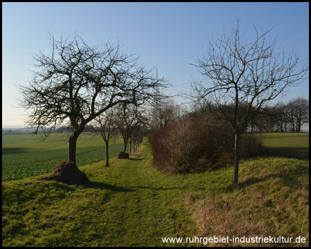 Auf der anderen Seite des Haarstrangs: Blick ins Ruhrtal