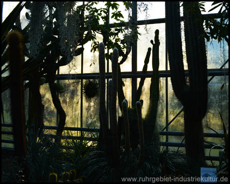 Pflanzenhäuser im Botanischen Garten der Ruhr-Universität