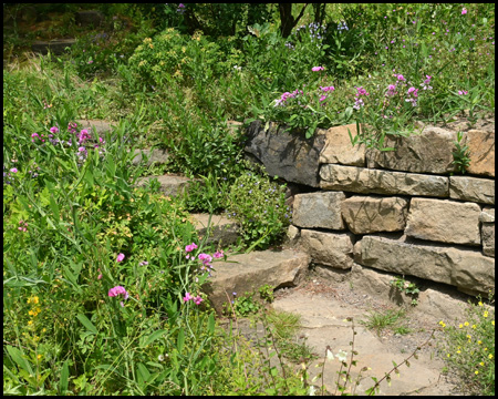 Eine Treppe und Natursteinmauer