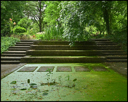 Teich im Botanischen Garten Bochum