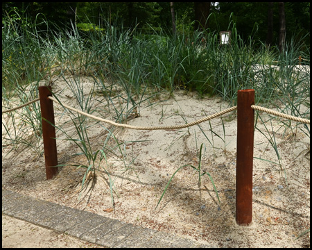 Sanddüne mit Strandhafer und Zaun