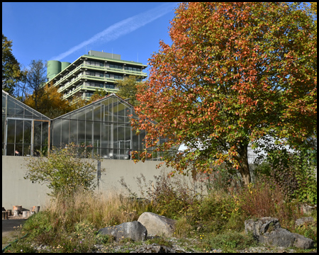 Botanischer Garten Bochum im Herbst