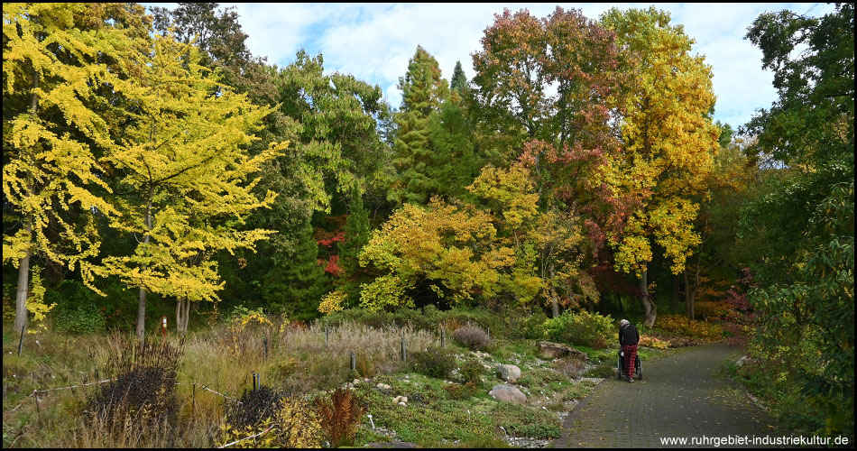 Botanischer Garten Bochum im Herbst