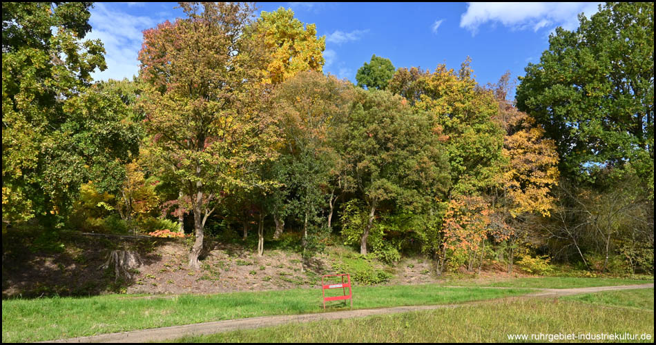 Waldkulisse im Herbst-Kleid