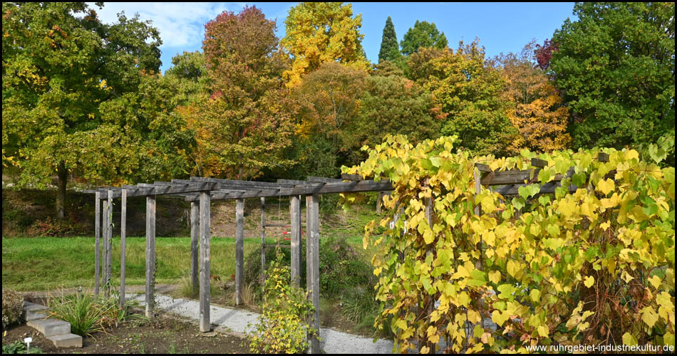 Pergola, Rankpflanze und Baumkulisse im herbstlichen Botanischen Garten Bochum