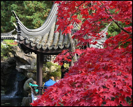 Roter Ahorn und chinesischer Pavillon