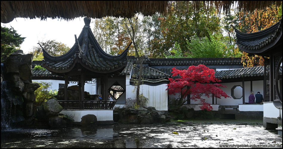 Botanischer Garten Bochum: Chinesischer Garten im Herbst