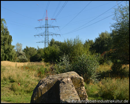 Blick auf das schwer zugängliche östliche Brachengelände