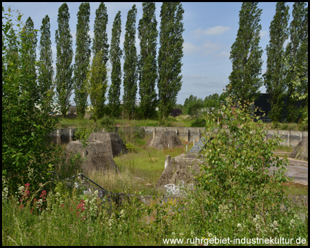 Das Fundament eines ehemaligen Kühlturms