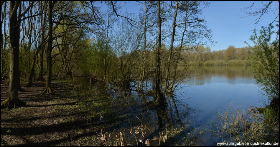 Brunosee in Dortmund und Castrop-Rauxel