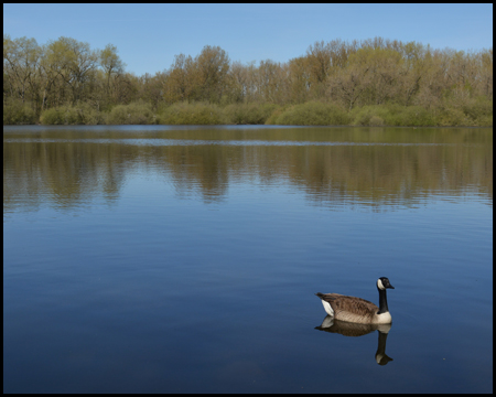 Brunosee in Dortmund und Castrop-Rauxel