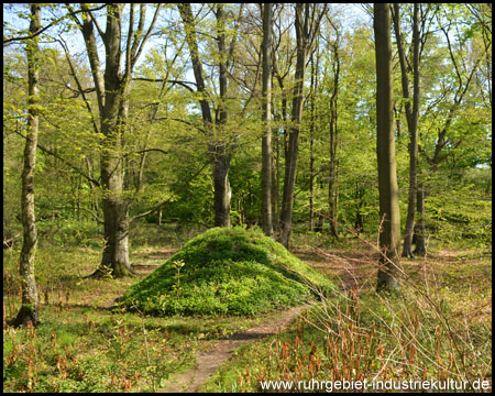 Land-Art ohne Zechen-Modell: Grüner Hügel im Schlosswald