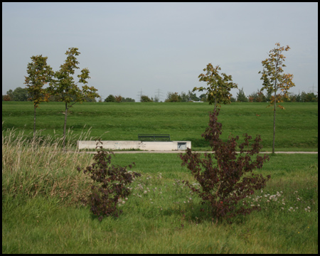 Sitzgelegenheiten am Rande grüner, terrassierter Wiesen