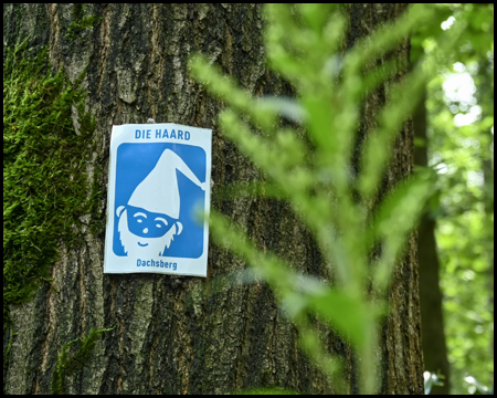 Blaues Wanderwege-Piktogramm an einem Baum in Form eines Zwerges