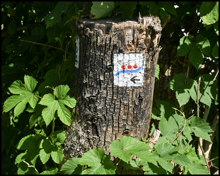 Markierung Deilbachsteig an einem Baumstumpf