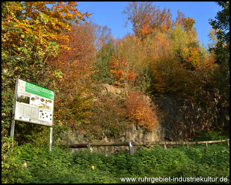 Der kleine Steinbruch nördlich der Nierenhofer Straße