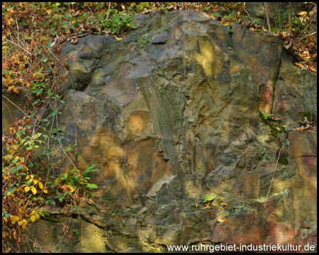 Formen von Bäumen im Gestein