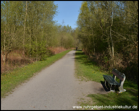 Gut ausgebauter Radweg entlang des Bachs (Blick zurück)