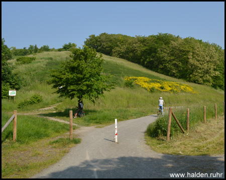 Der Deusenberg, eine ehemalige Mülldeponie in Huckarde