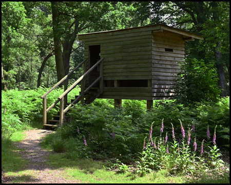 Beobachtungskanzel im Diersfordter Wald