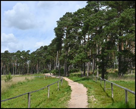 Moorerlebnisweg am Großen Veen