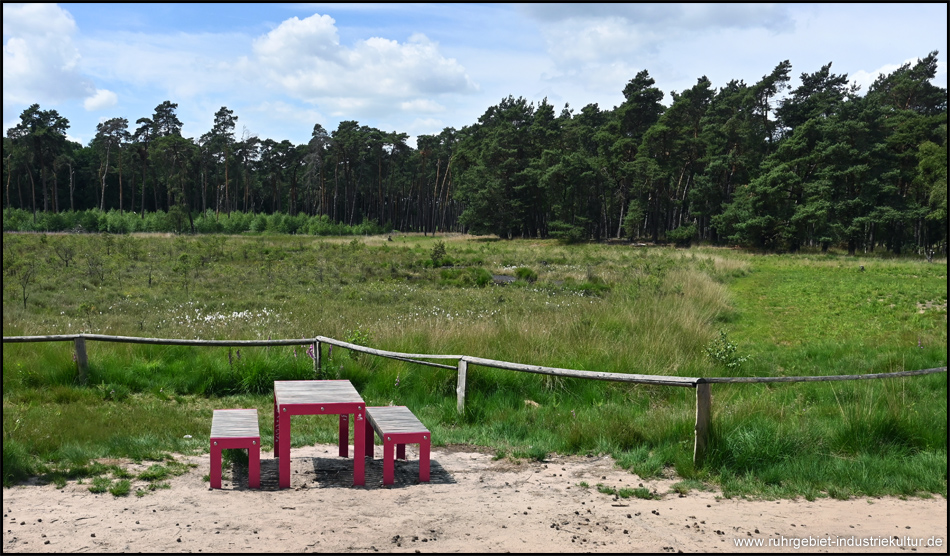 Moorerlebnisweg am Großen Veen