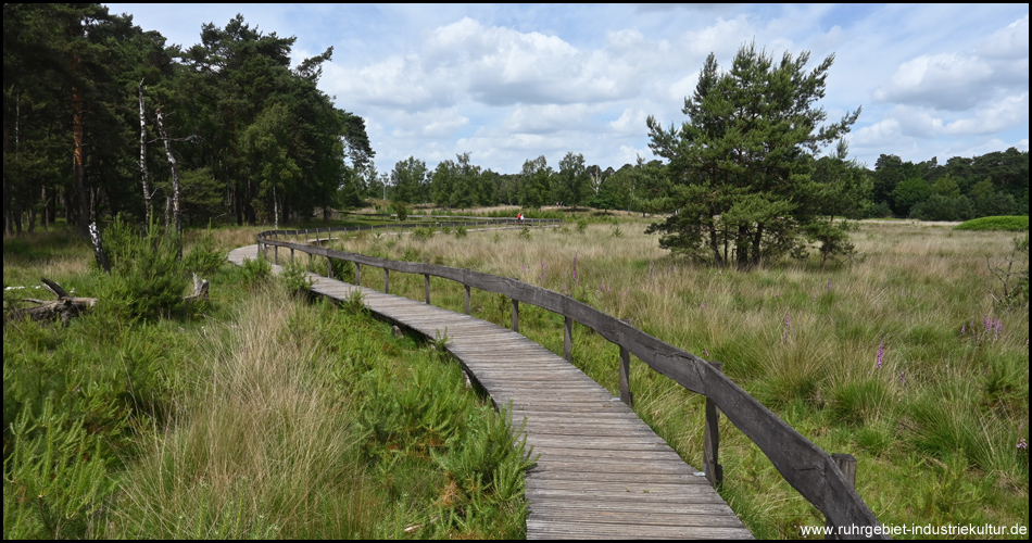 Bohlenweg im Diersfordter Moor