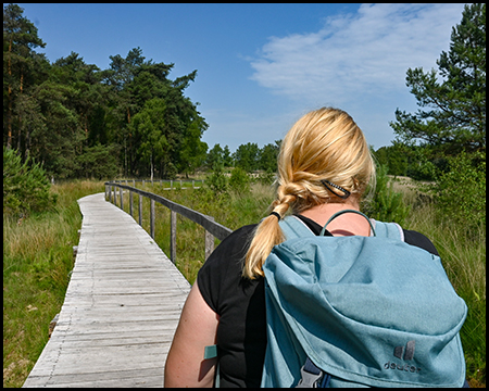 Wanderin mit blondem Zopf und hellblauem Rucksack geht über einen geraden Holzsteg durch Moorgebiet. Der Bohlenpfad führt durch die natürliche Sumpflandschaft mit Gräsern und Bäumen im Hintergrund.