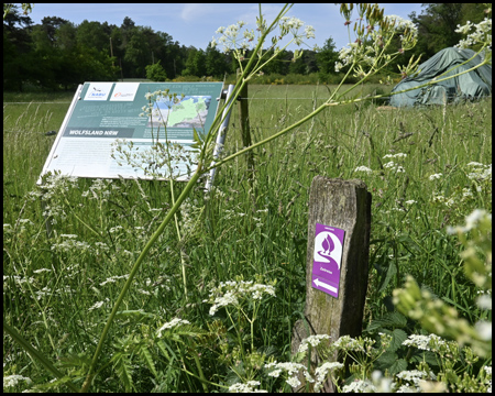 Wanderwegschild Streifzug in der Dingdener Heide