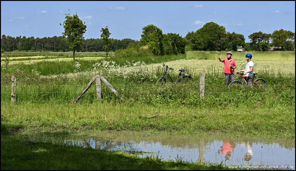 Wasserfläche in der Dingdener Heide