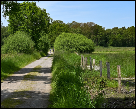 Weg durch Felder